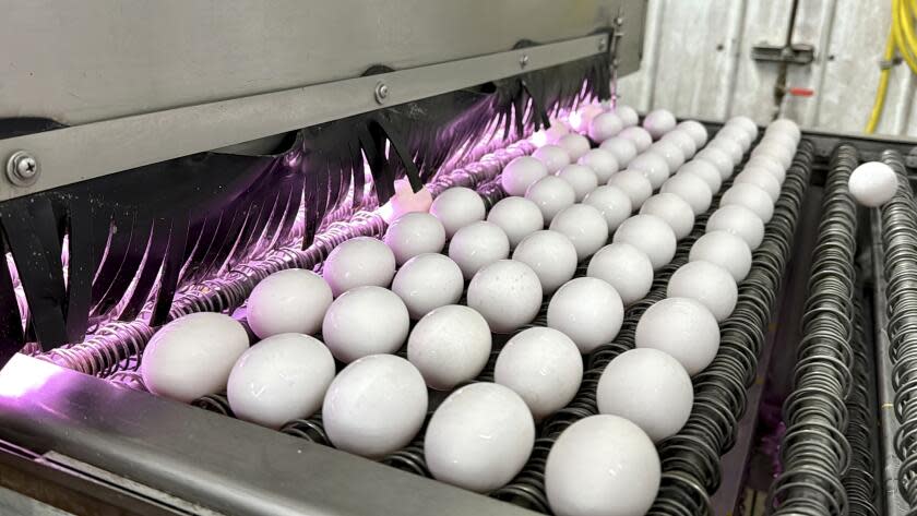 Amid the avian flu outbreak, more eggs are being seized at the U.S.-Mexico border.